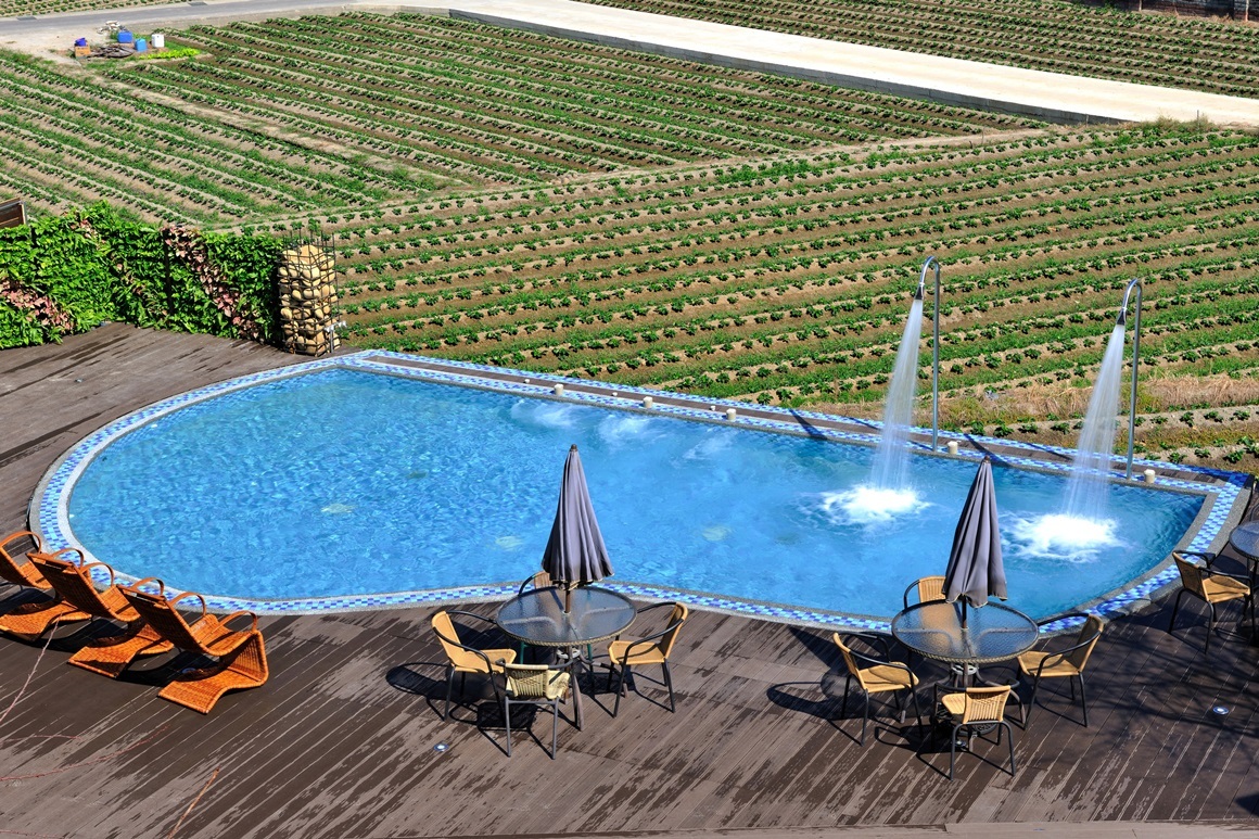 【苗栗】慈夢柔渡假會館 游泳池及草莓園