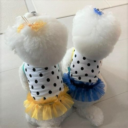 Jella 迪士可點點T-Shirt