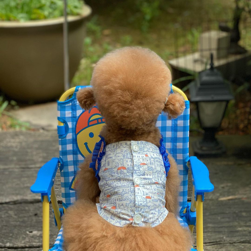 Jella 波爾圖無袖襯衫