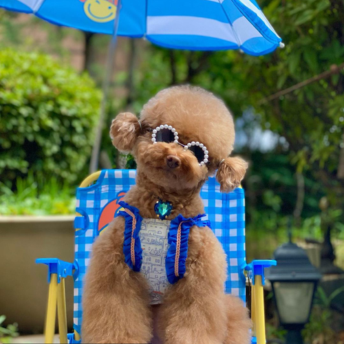 Jella 波爾圖無袖襯衫