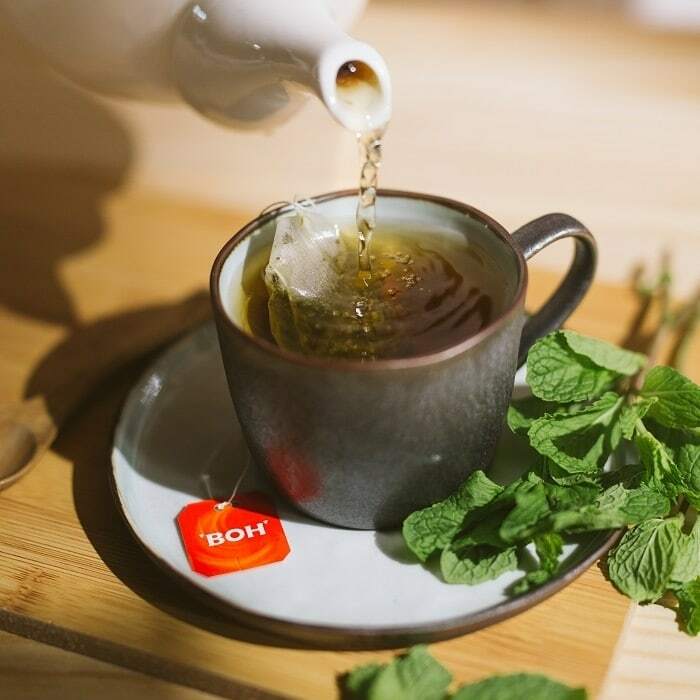 BOH 薄荷茶包