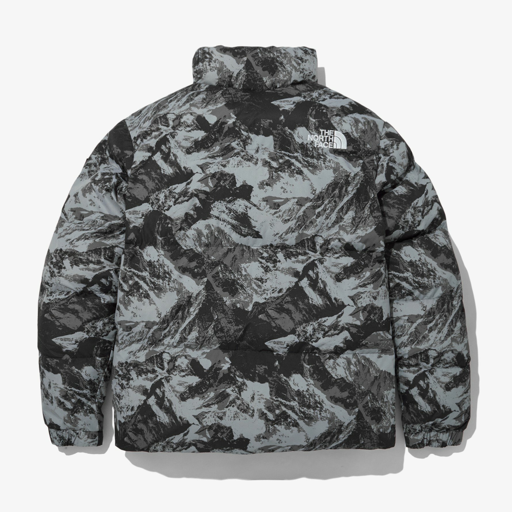 THE NORTH FACE NOVELTY ASPEN EX ON BALL 羽絨外套 雪山 黑 NJ3NN63A