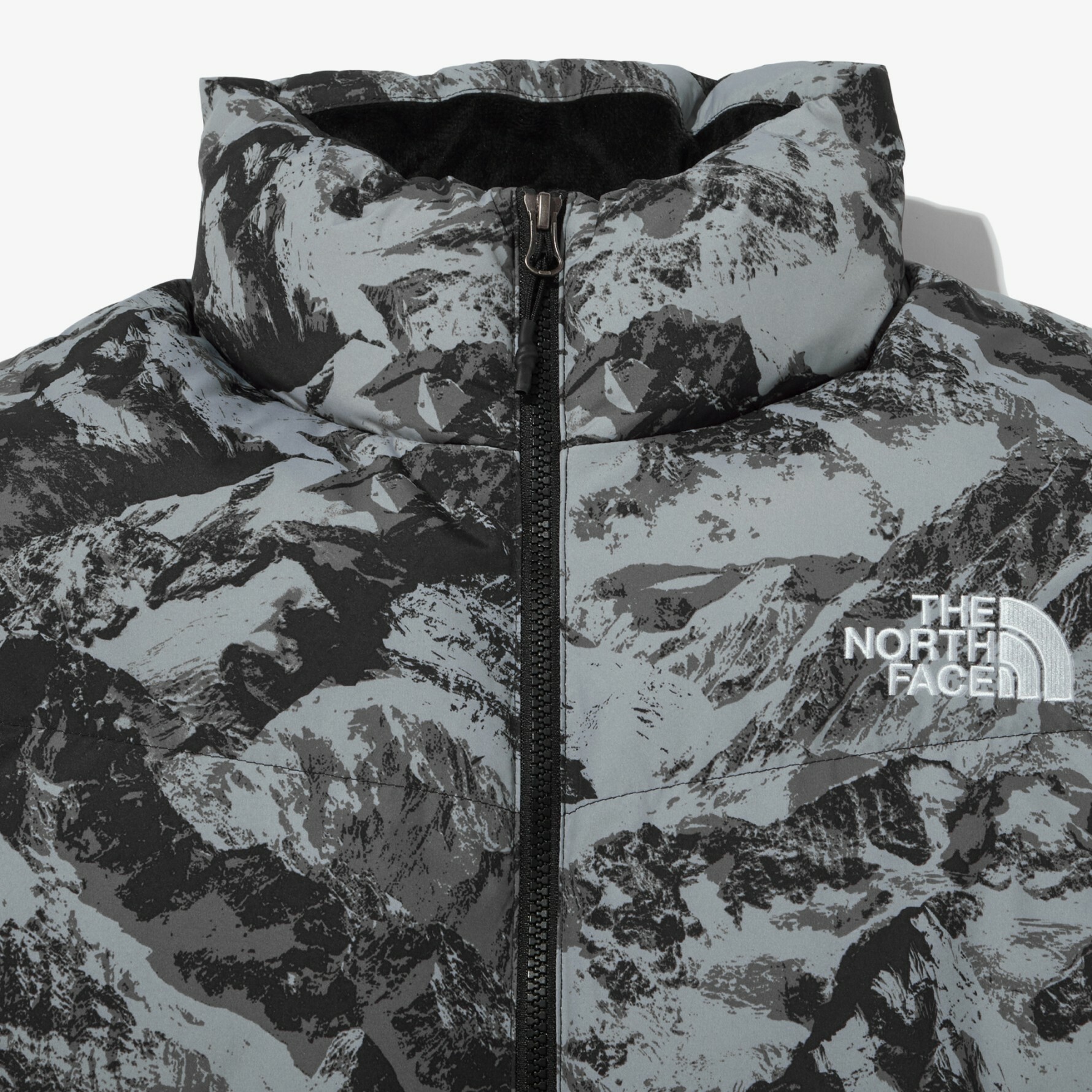 THE NORTH FACE NOVELTY ASPEN EX ON BALL 羽絨外套雪山黑NJ3NN