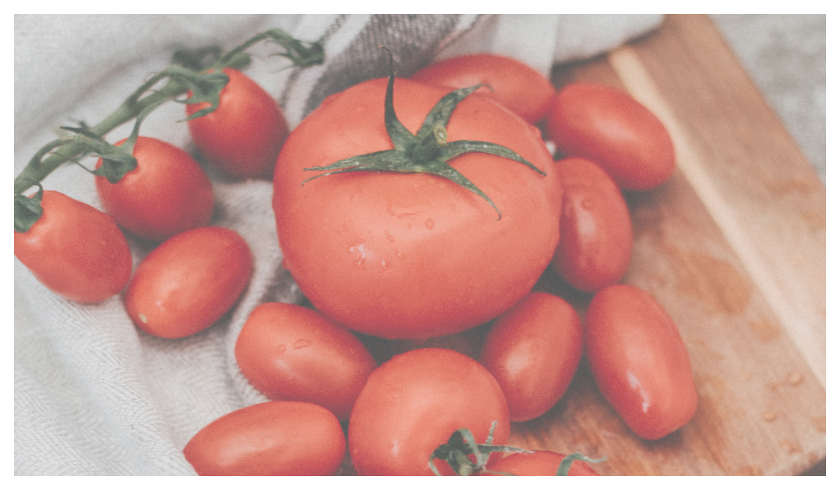 大小番茄差很多？想補充茄紅素你該知道的事！-1