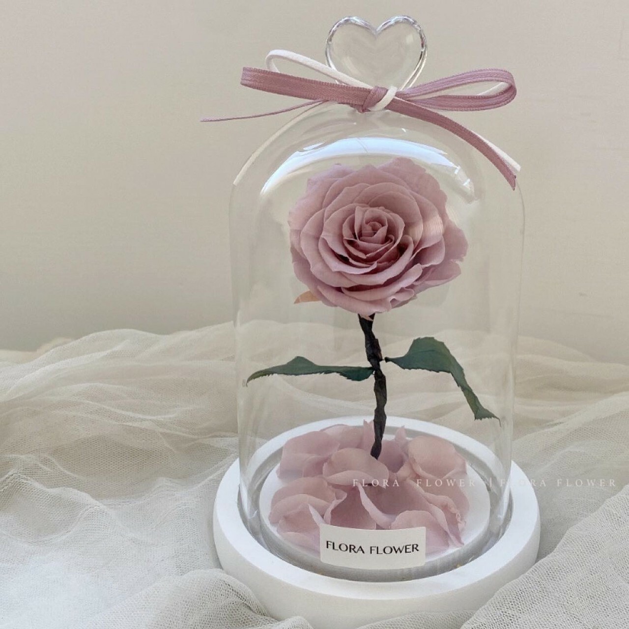 小王子永生玫瑰花 -柔美