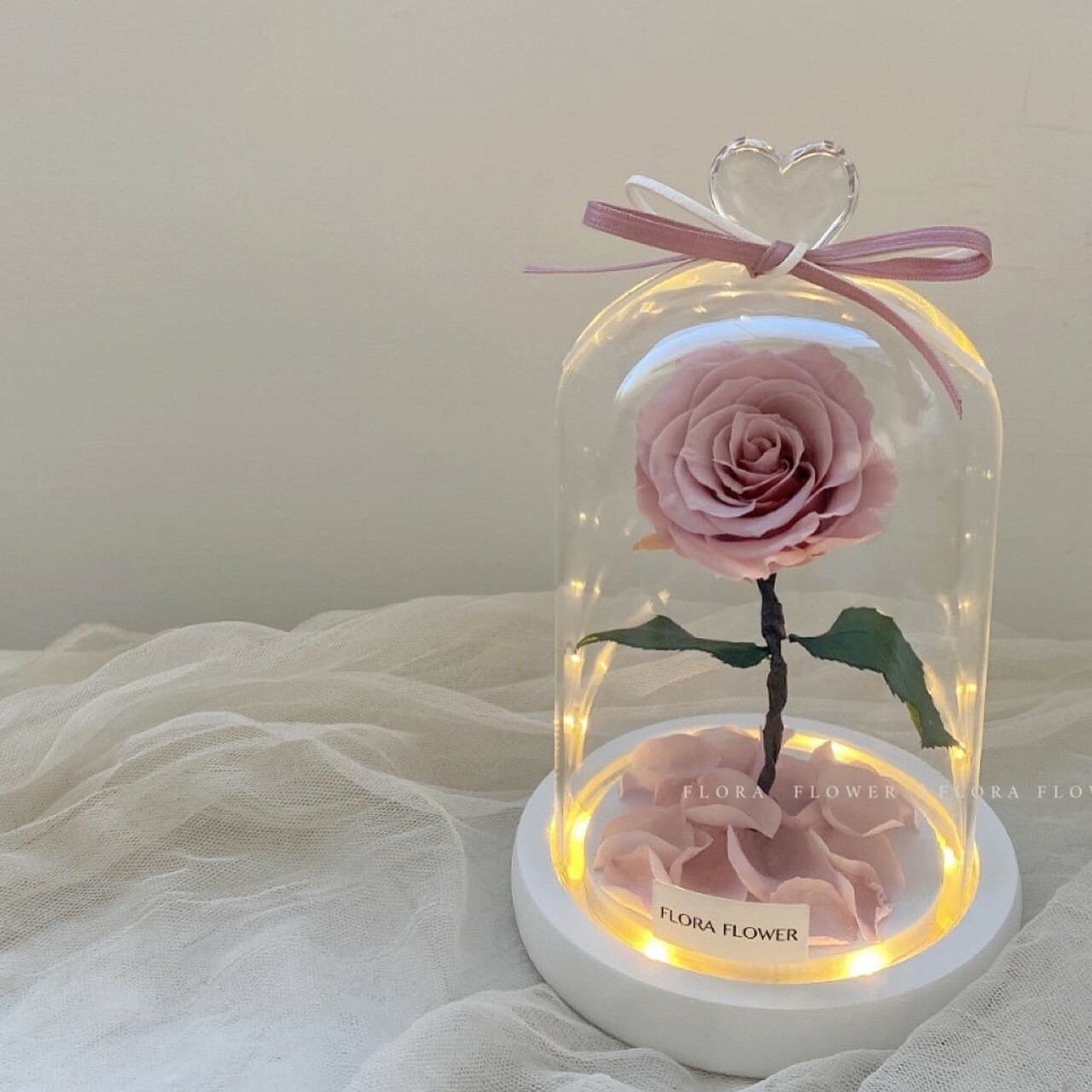 小王子永生玫瑰花 -柔美