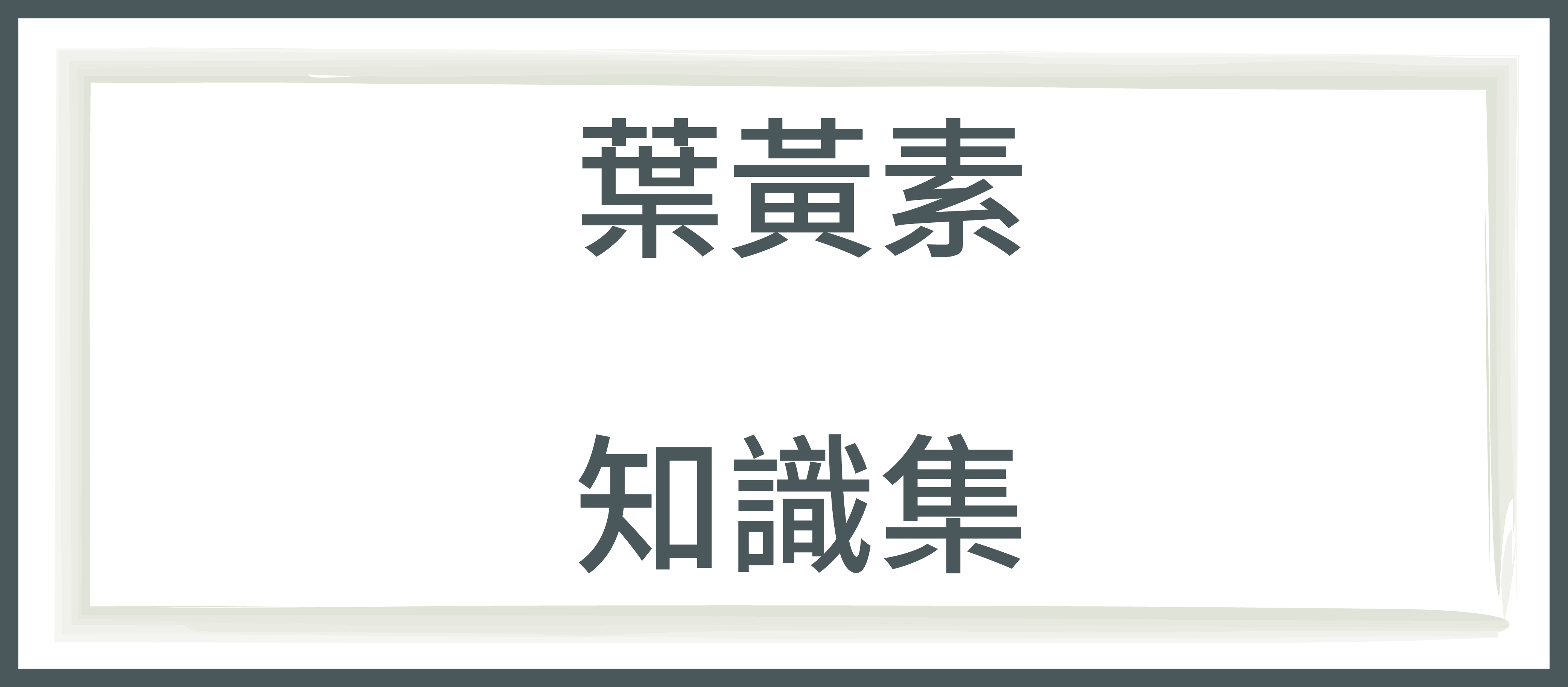 俊宥生技,健食品品牌,葉黃素怎麼吃,玉米黃素,蝦紅素,花青素,藻紅素,乾眼症,游離型葉黃素,葉黃素推薦,乾眼症,有感葉黃素,飛蚊症,黑豆多酚,近視