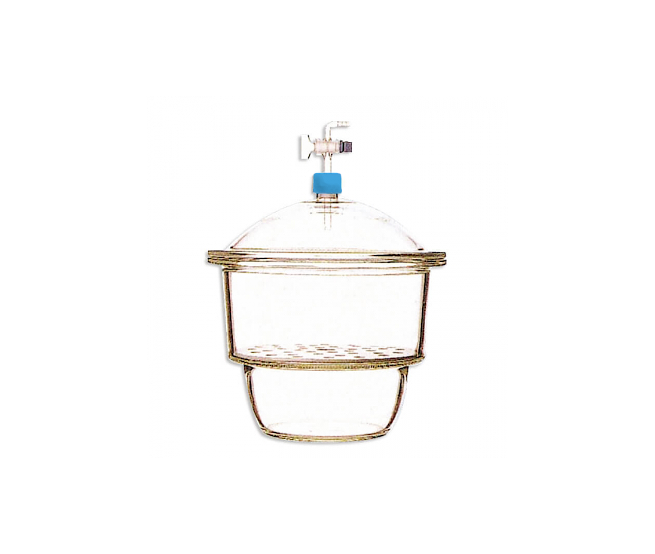 真空乾燥器(德製)