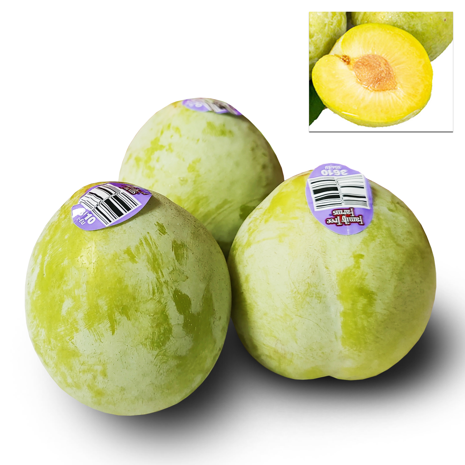 美國綠寶石布冧 [3個]