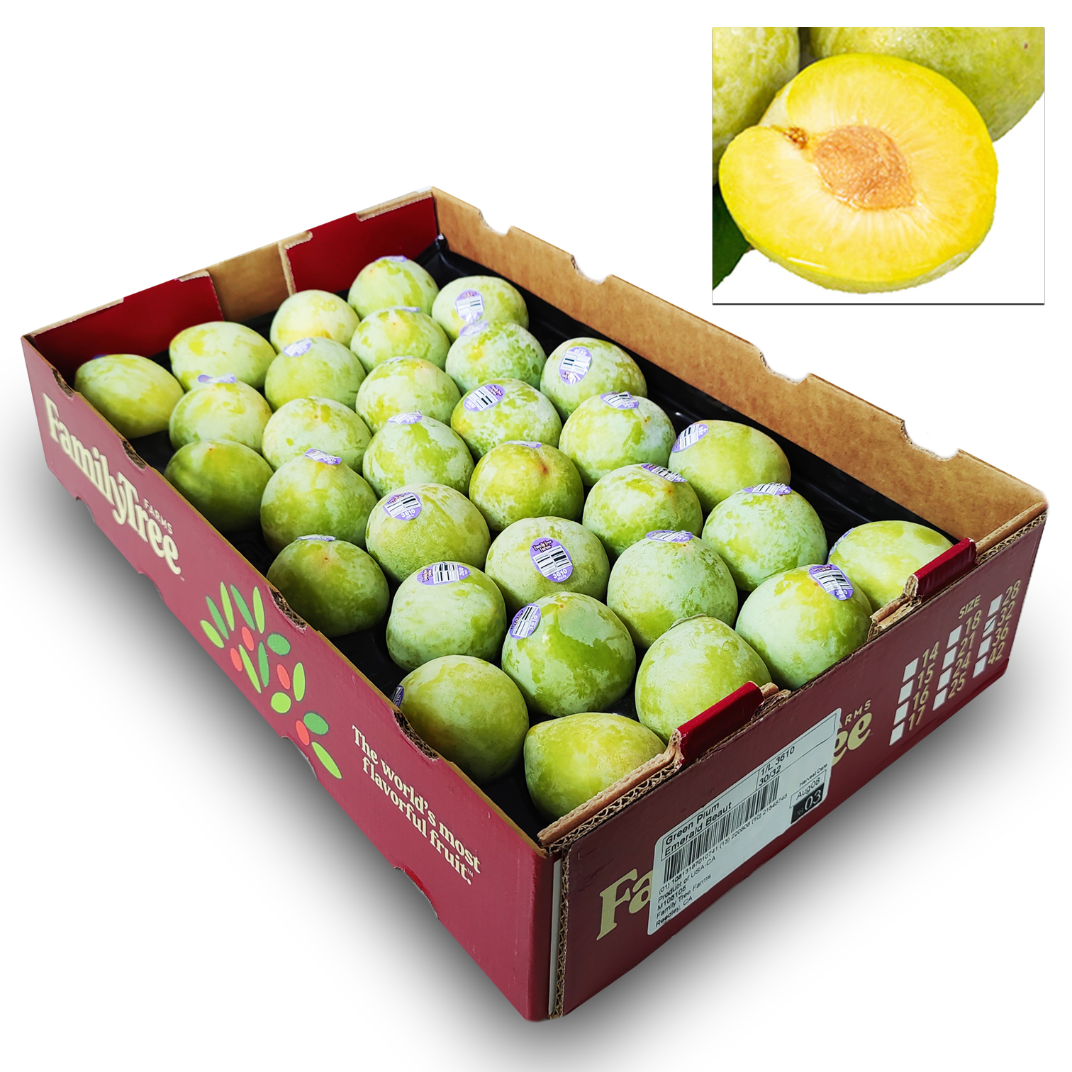 美國綠寶石布冧 [原箱]