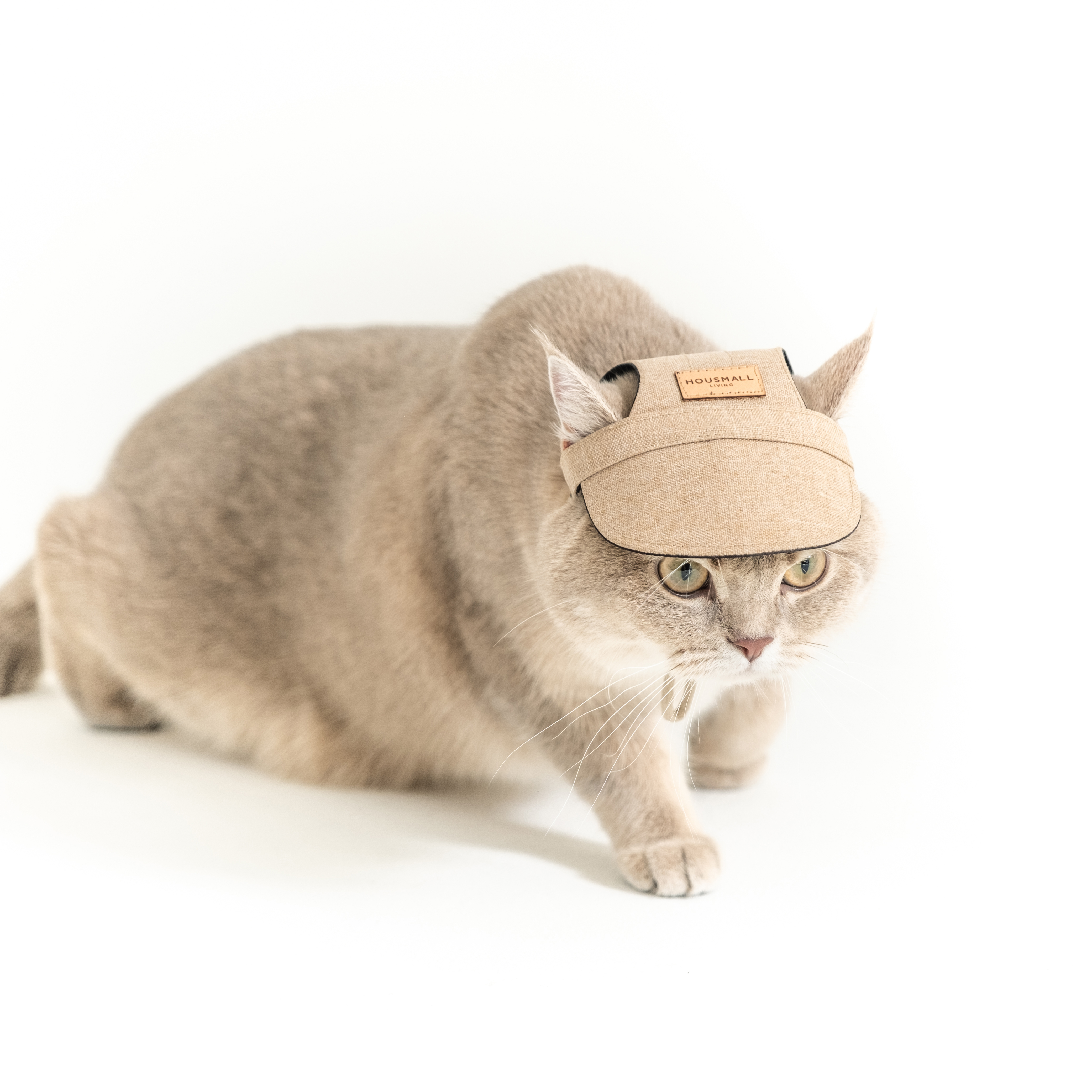 聯名貓咪外出帽｜小宅帽｜大地淺棕 - housmall