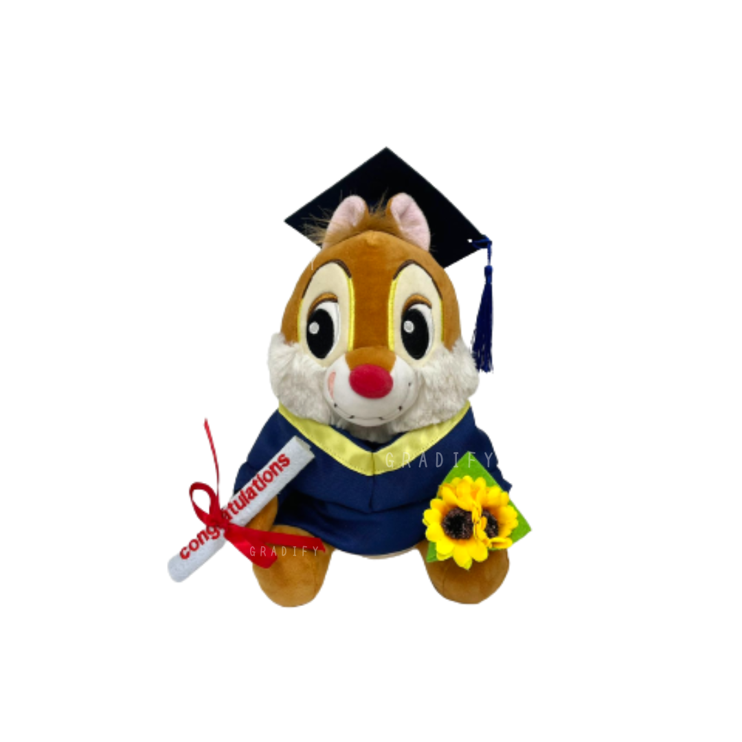 🎓 28CM DALE 畢業公仔 - 香港科技大學學士