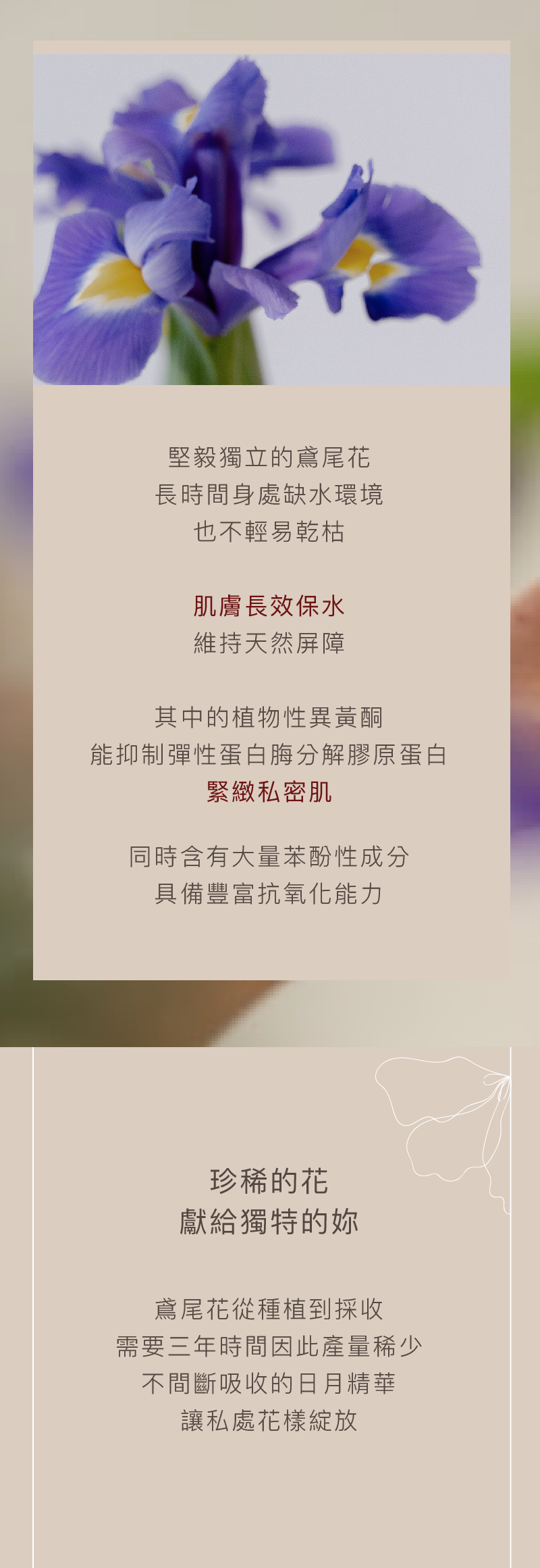 Love Dear 女性專用 0號⁺私膚沐浴露 滋潤乳香版