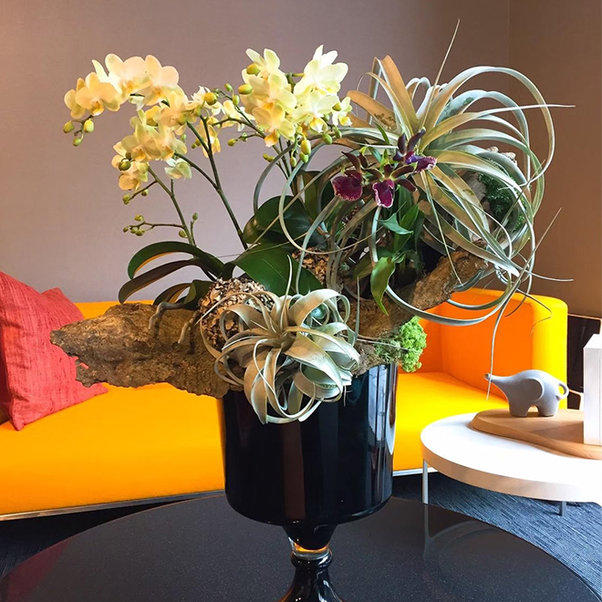 高腳玻璃精緻蘭花盆景