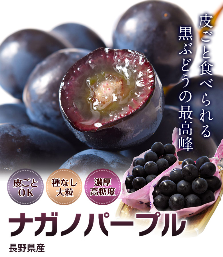 長野之紫PURPLE(黒葡萄) 5KG 7-8房