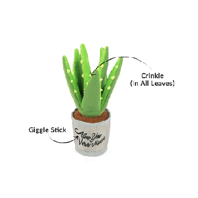 美國 P.L.A.Y Blooming Buddies 系列 - 蘆薈