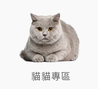 貓咪生活用品專區