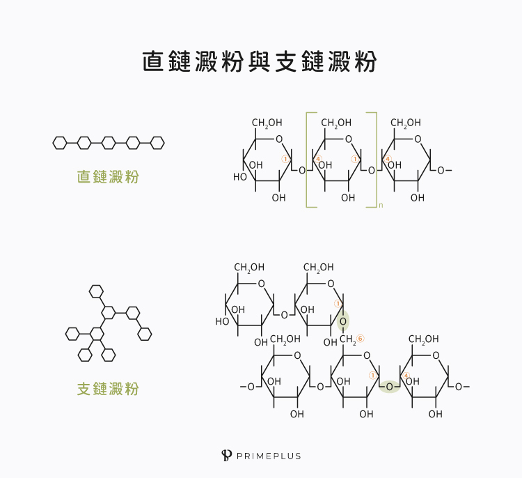 直鏈澱粉與支鏈澱粉的結構差異