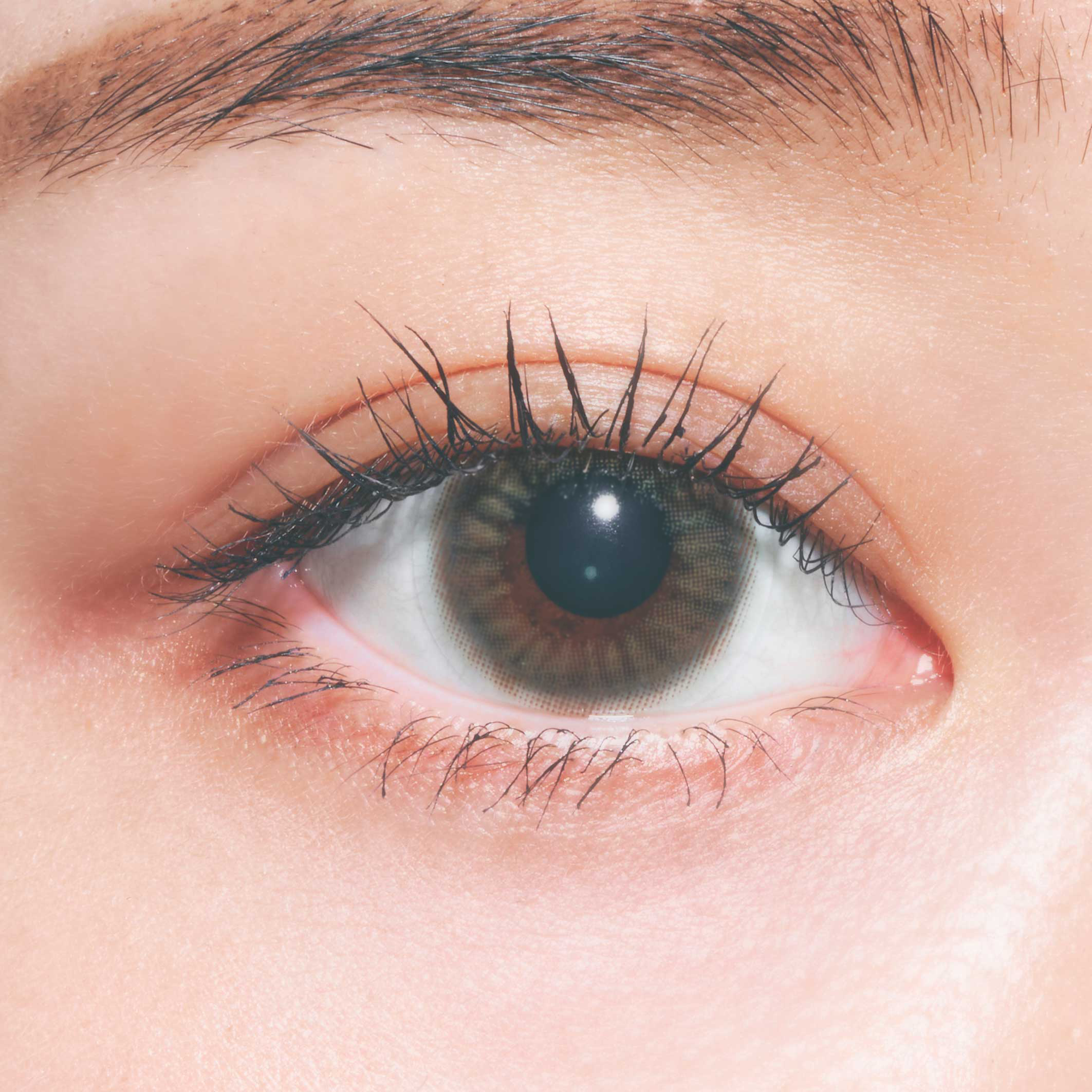 PURIism Color Contact Lenses 每日即棄有色隱形眼鏡(1DAY)(10片裝) Powapowa Cinnamon