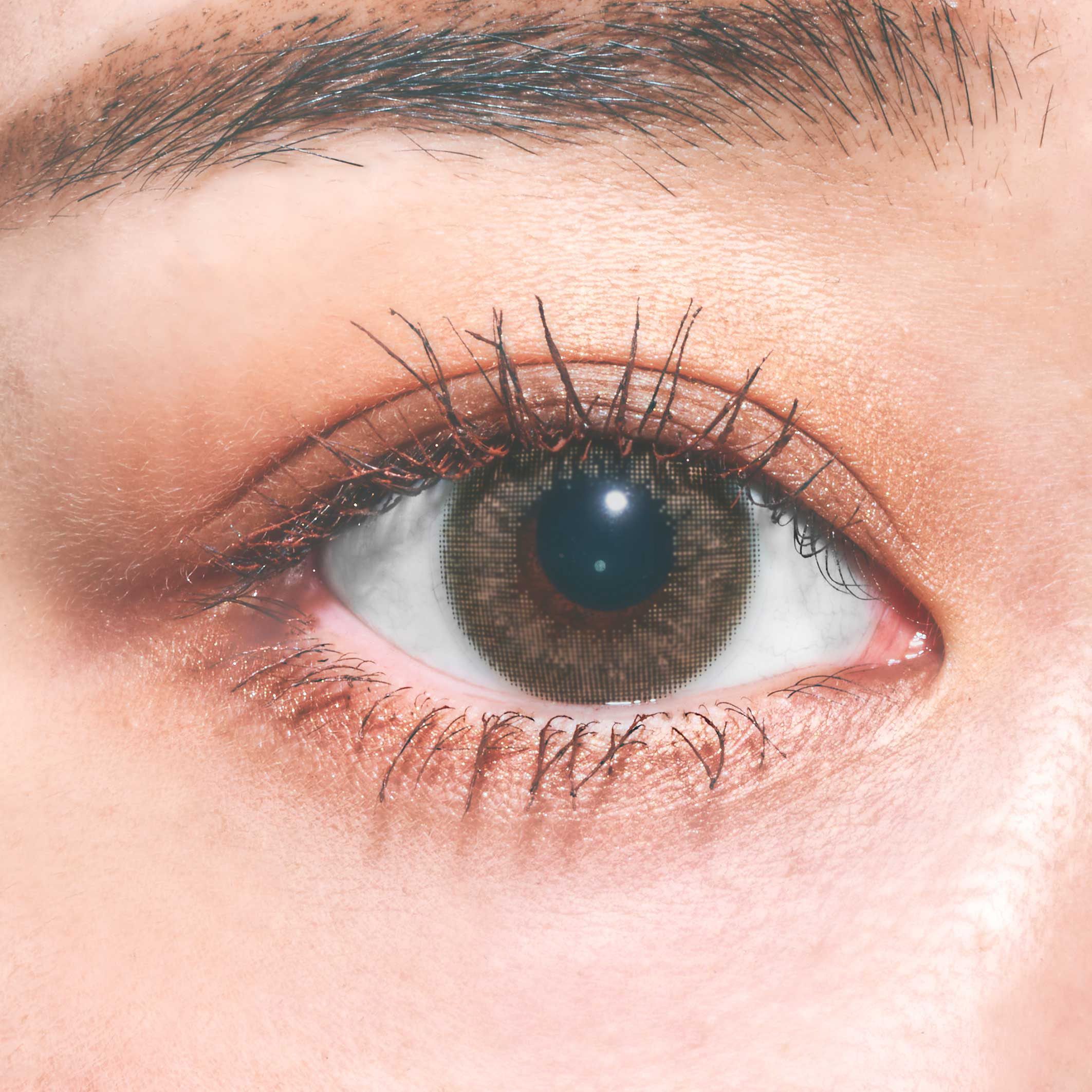 PURIism Color Contact Lenses 每日即棄有色隱形眼鏡(1DAY)(10片裝) Fuwafuwa Choco Latte