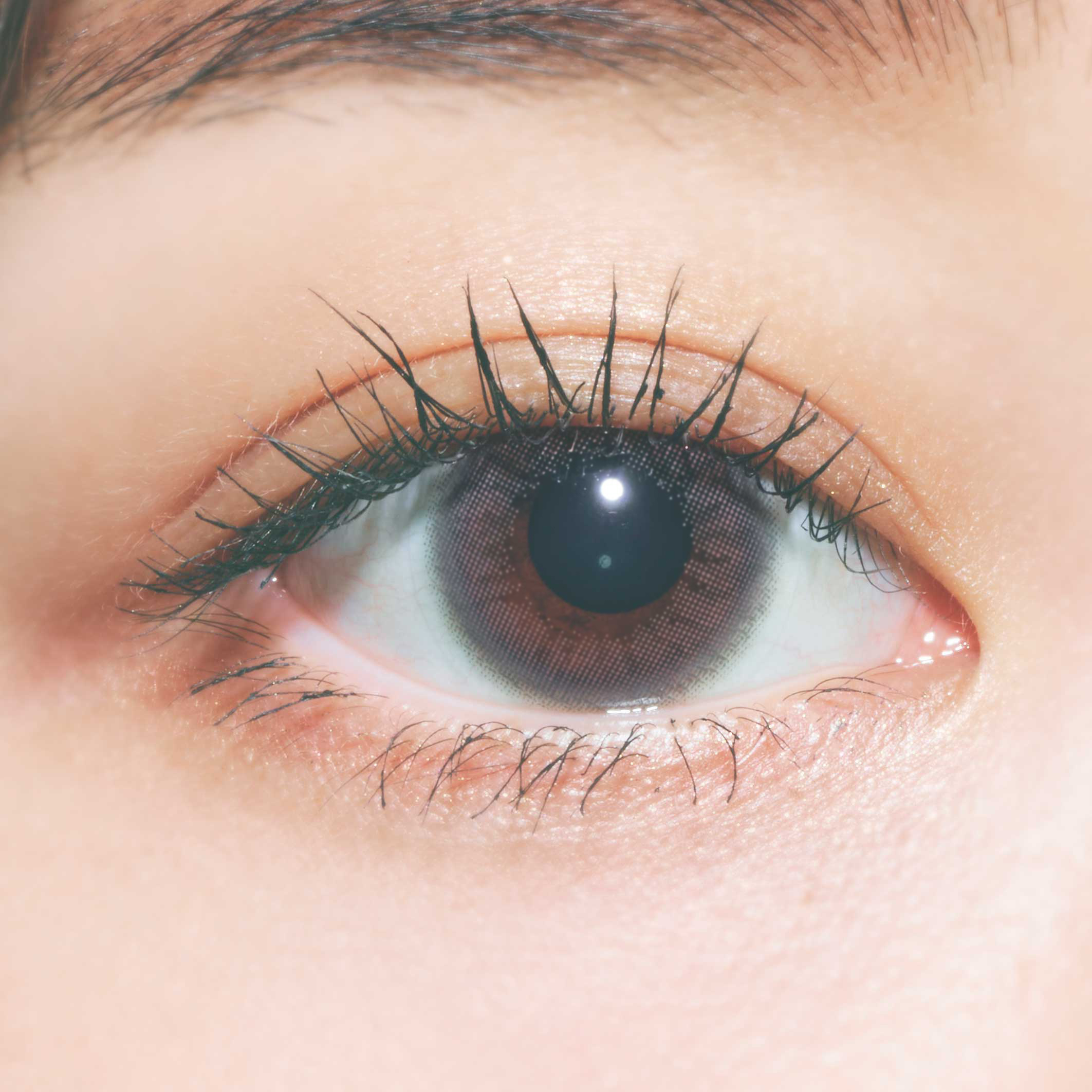 PURIism Color Contact Lenses 每日即棄有色隱形眼鏡(1DAY)(10片裝) Howahowa Mousse