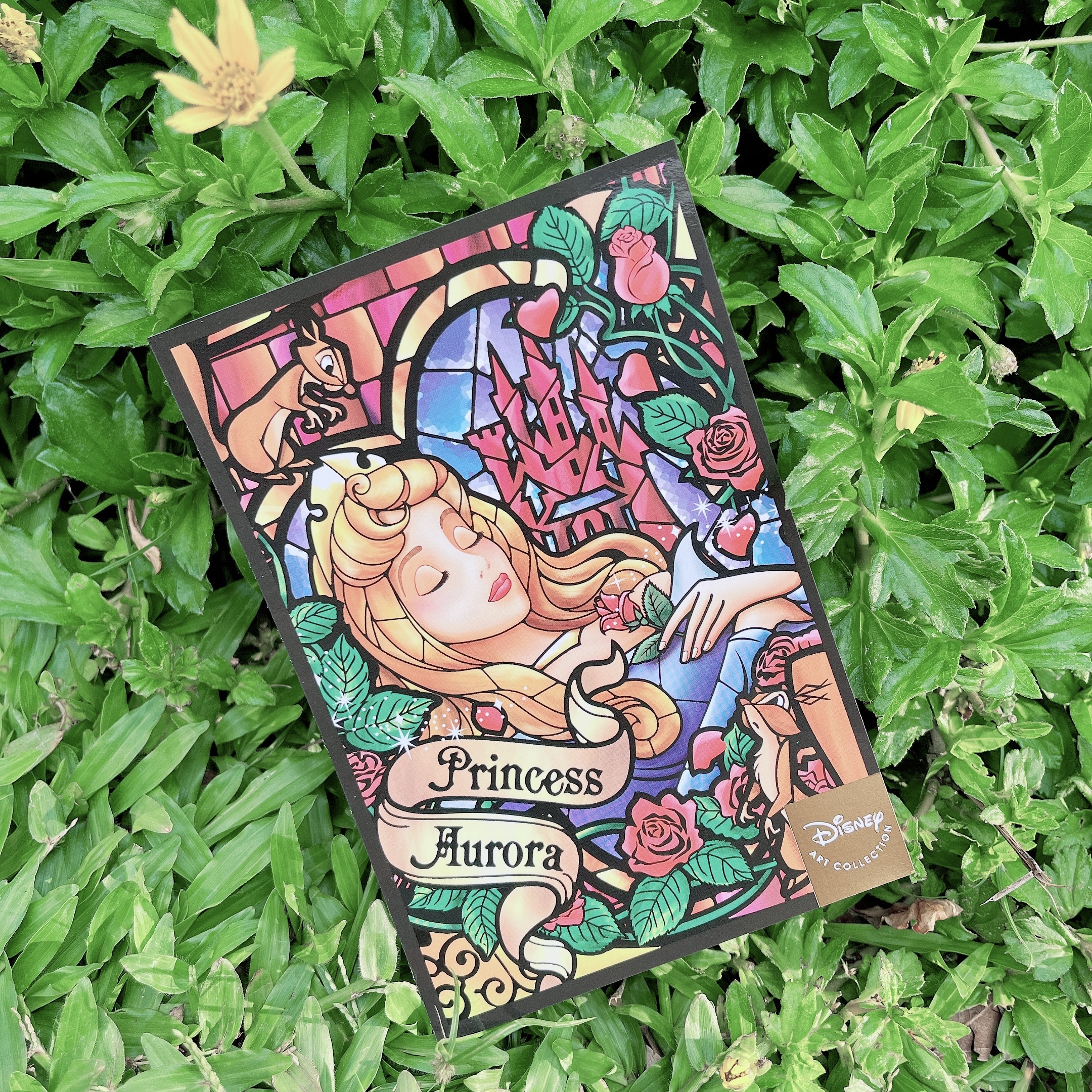 Disney 睡美人 公主明信片 日本東京迪士尼樂園帶回