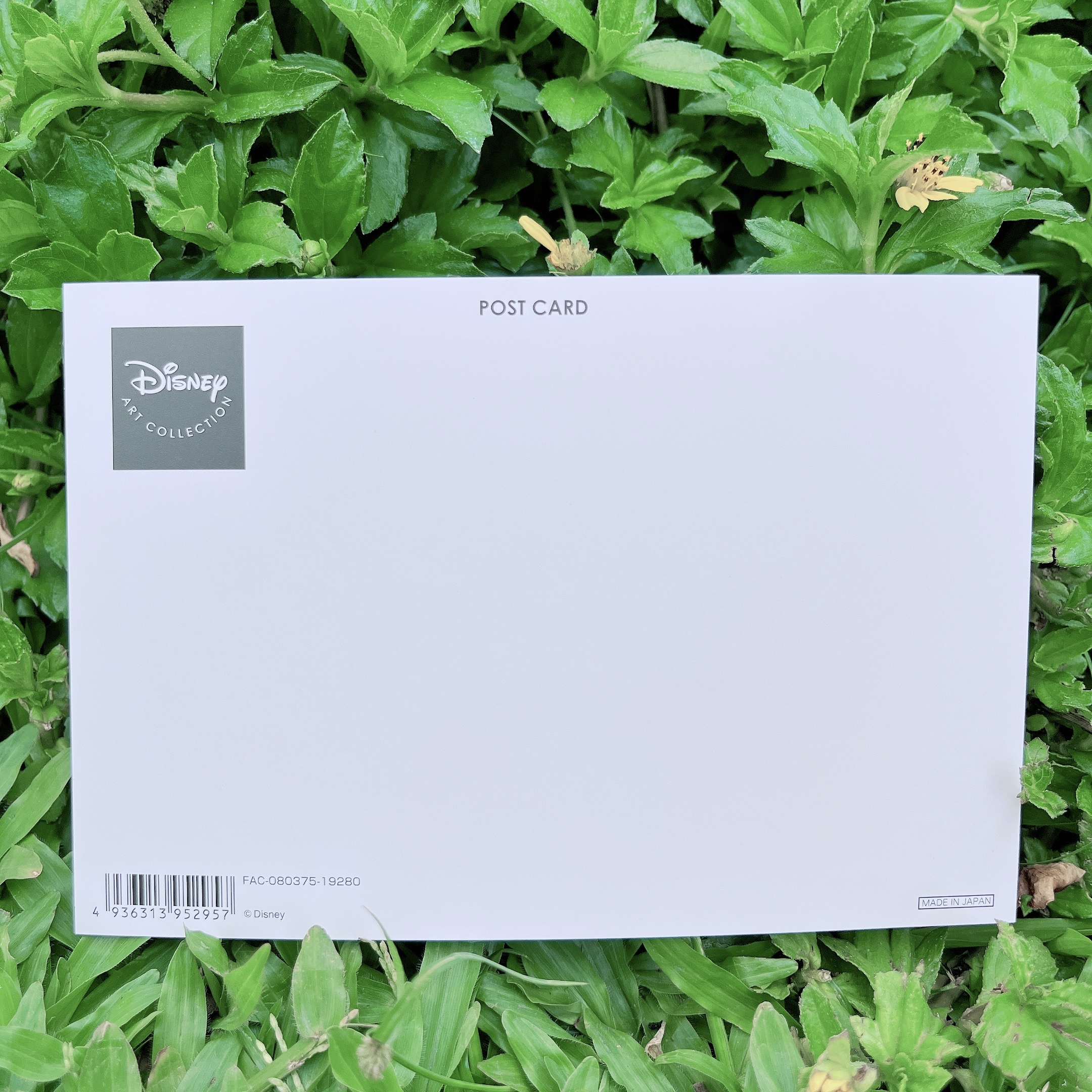 Disney 睡美人 公主明信片 日本東京迪士尼樂園帶回