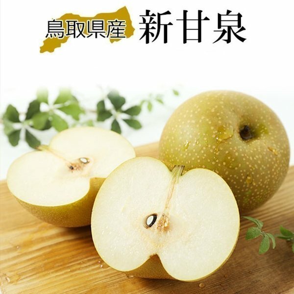 新甘泉梨 2KG  4-7玉
