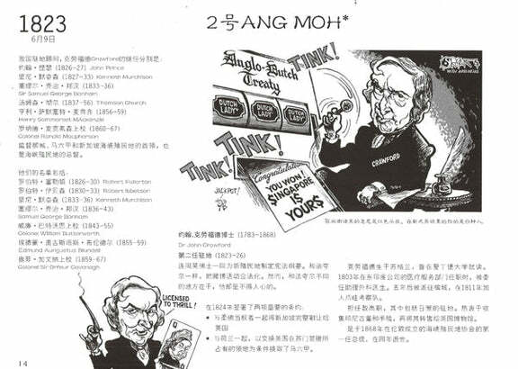 我的新加坡 致土生土长的新加坡人