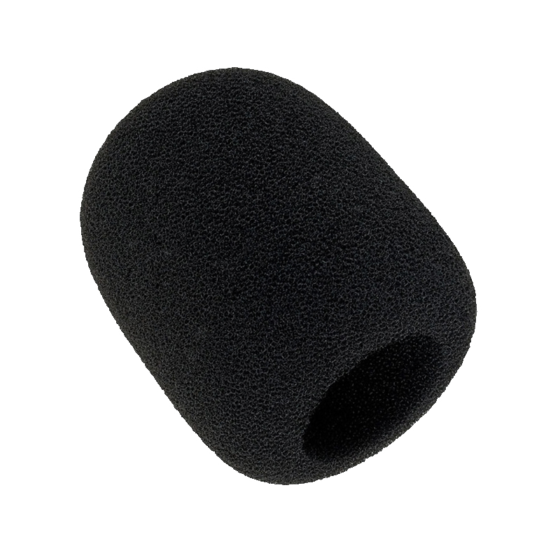 SESSION SWR-1 麥克風 口水罩