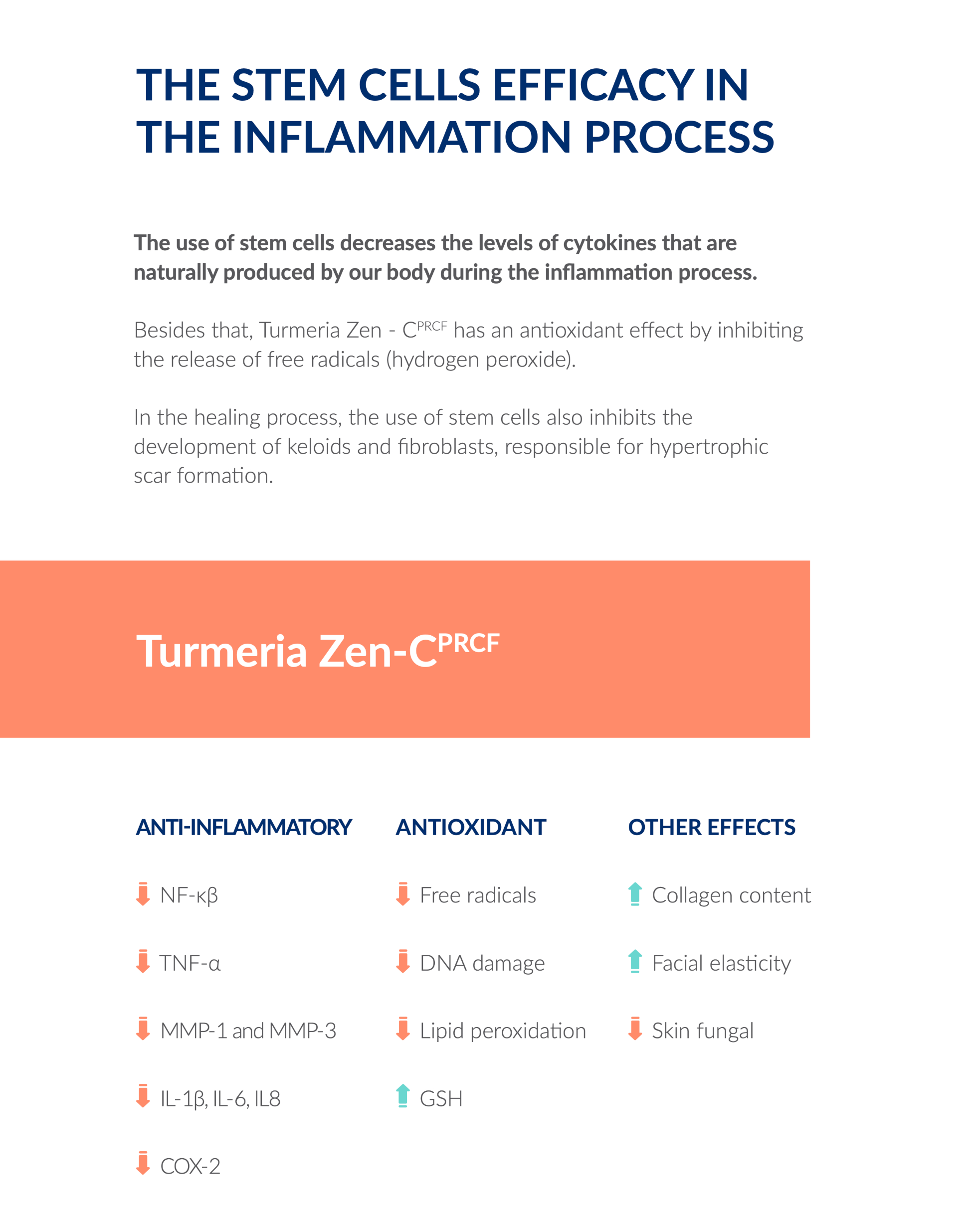 Kelo Cell Biogel THE STEM CELLS EFFICACY IN THE INFLAMMATION PROCESS