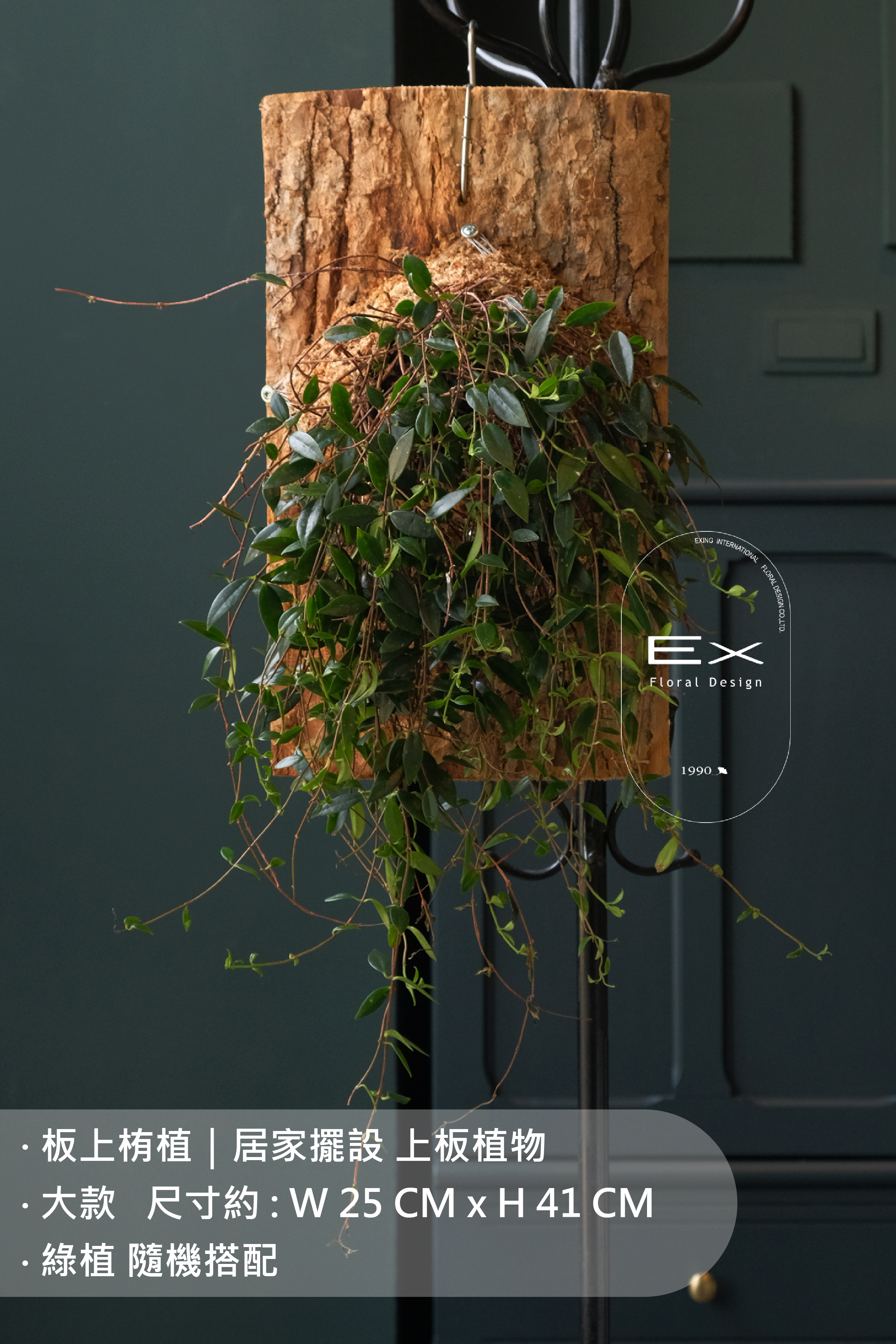 板上栯植｜居家擺設 上板植物