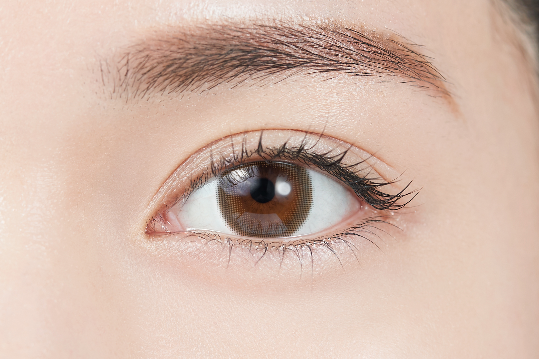 TOPARDS Color Contact Lenses 日本TOPARDS彩色隱形眼鏡(自然裸眼風)(1DAY)(10片裝)(Smoky Quartz)