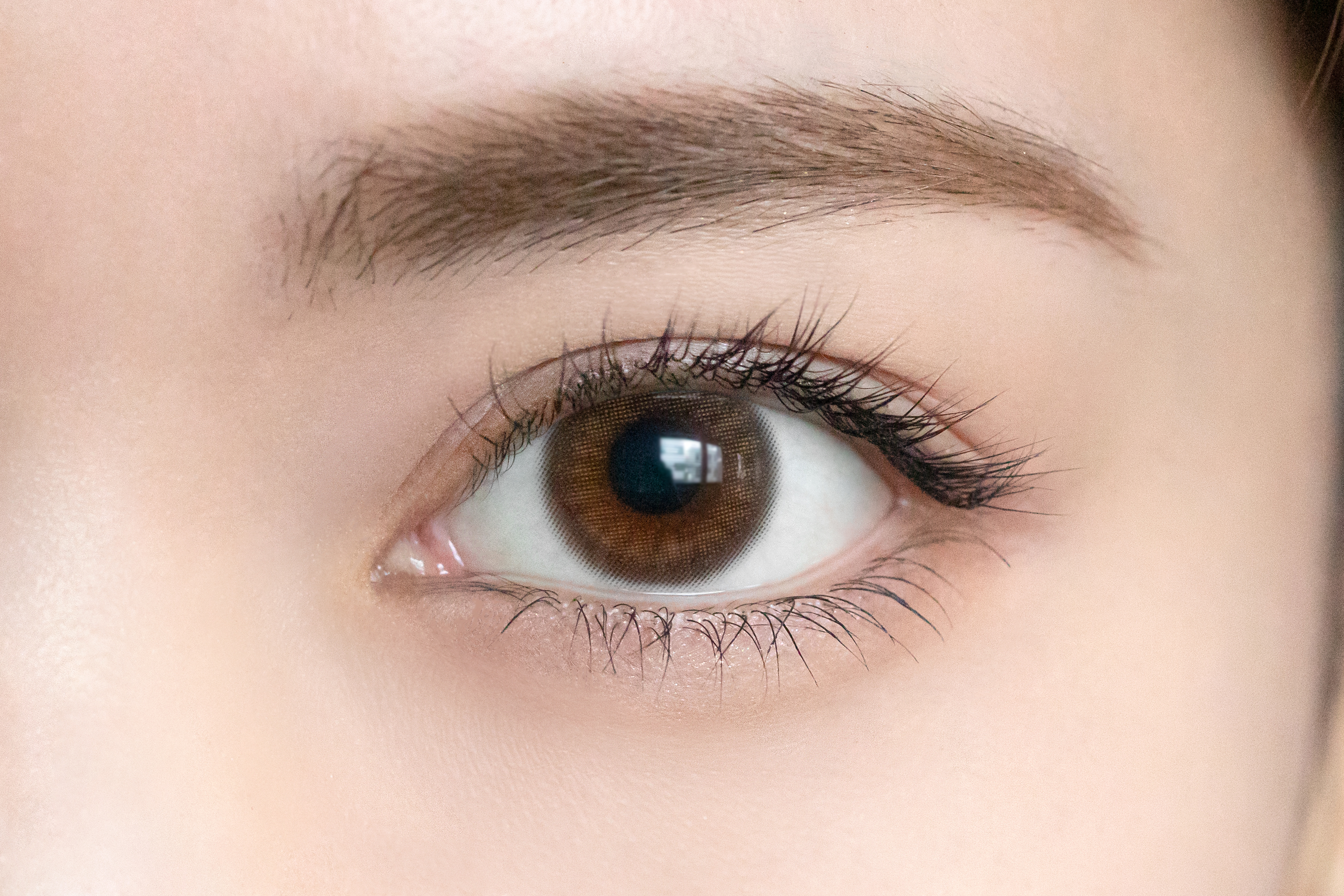 TOPARDS Color Contact Lenses 日本TOPARDS彩色隱形眼鏡(自然裸眼風)(1DAY)(10片裝)(Garnet)