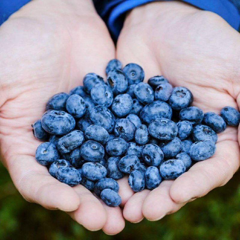 What vitamins do I take to improve my eyesight? What vitamins are good for the eyes?