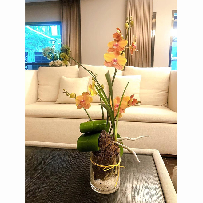 玻璃瓶蘭花禮盆