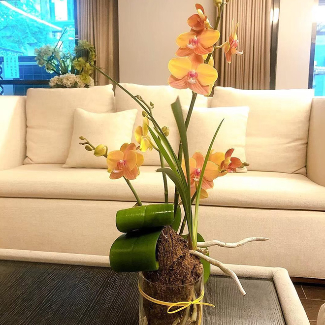 玻璃瓶蘭花禮盆