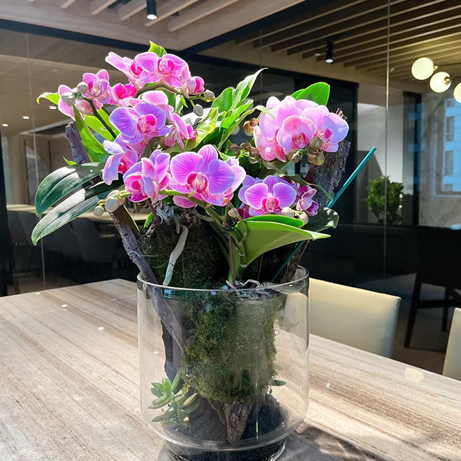 精品玻璃花器 自然系蘭花盆景