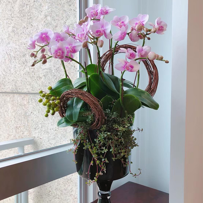 精品高腳杯玻璃花器 精緻蘭花盆景