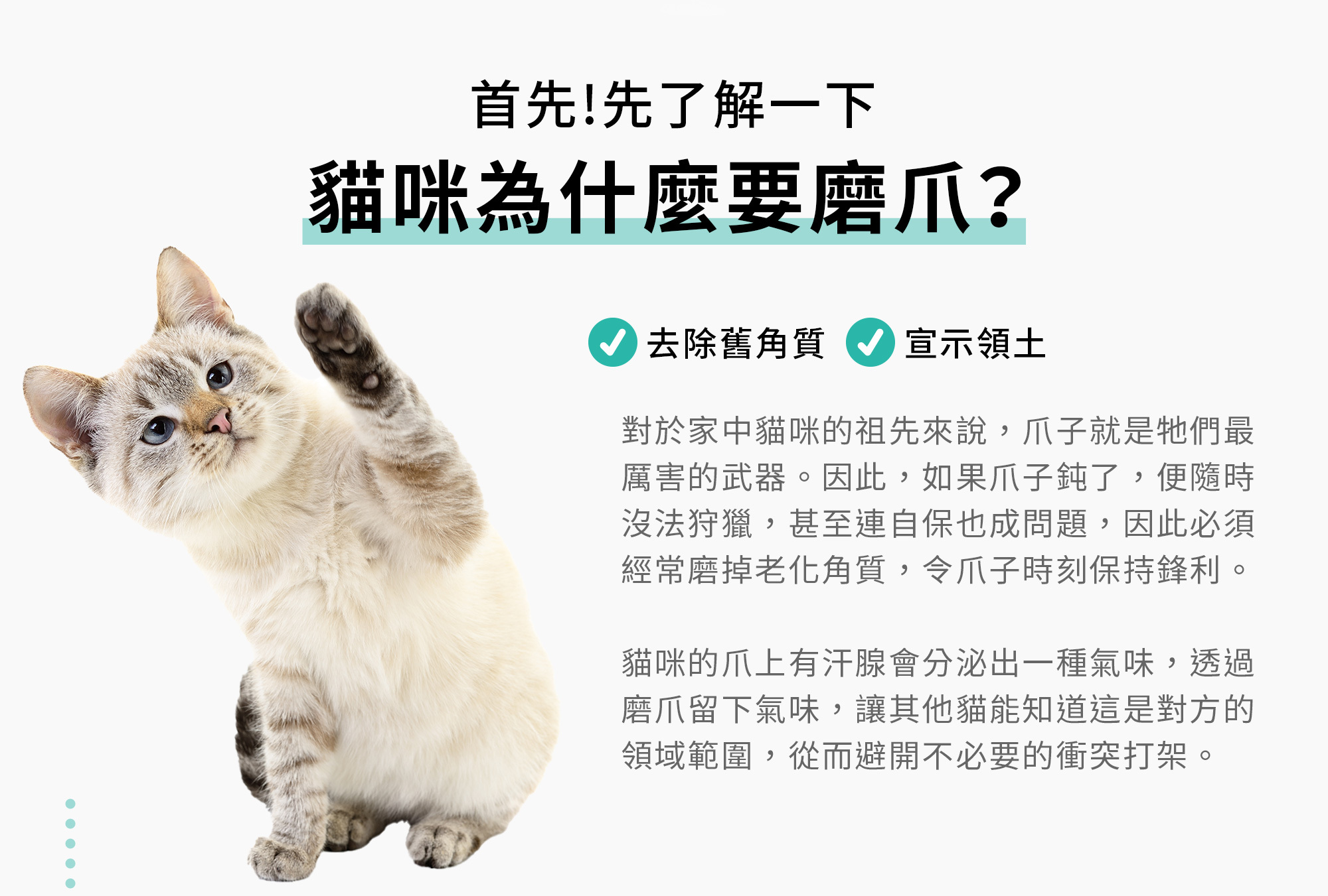 貓為什麼要磨爪