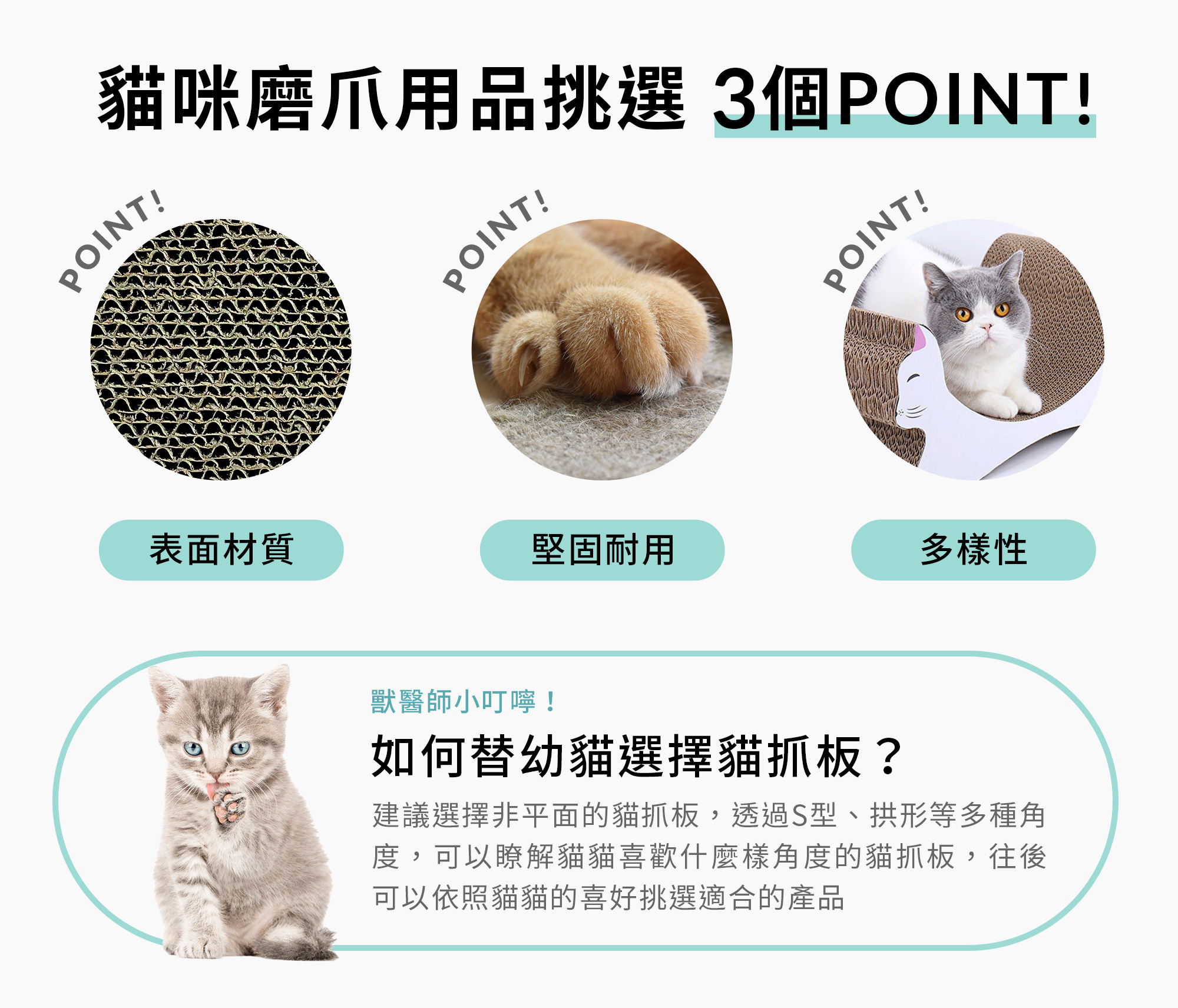 貓抓板挑選的重點