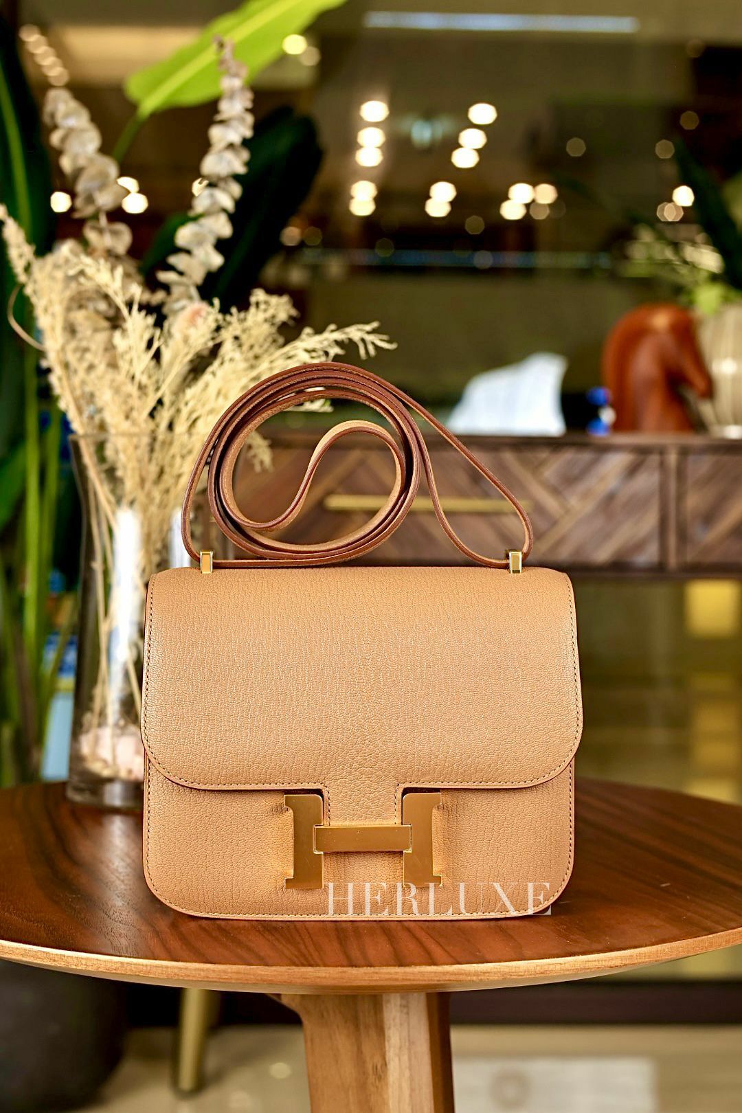 Constance mini 2J quebracho cc chèvre