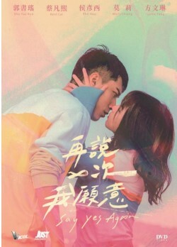 再說一次我願意 (DVD)