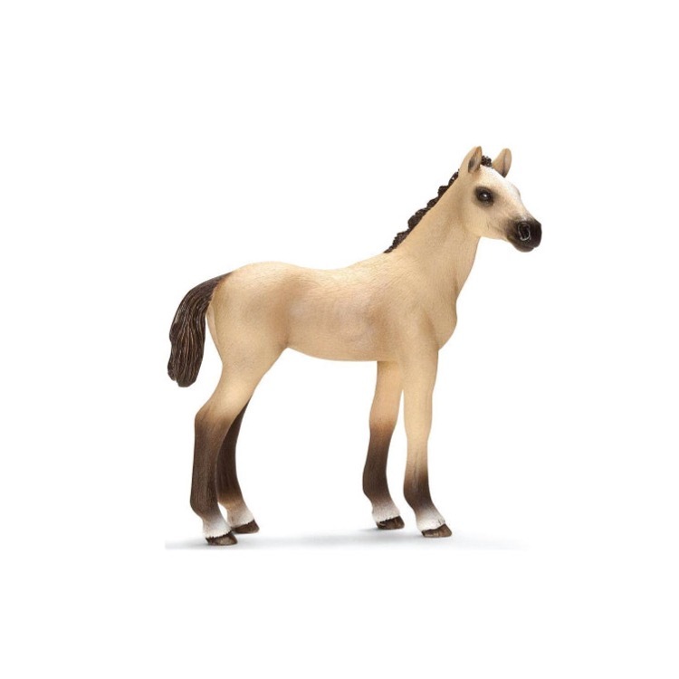 Akhal-Tele Foal, Schleich SC13702