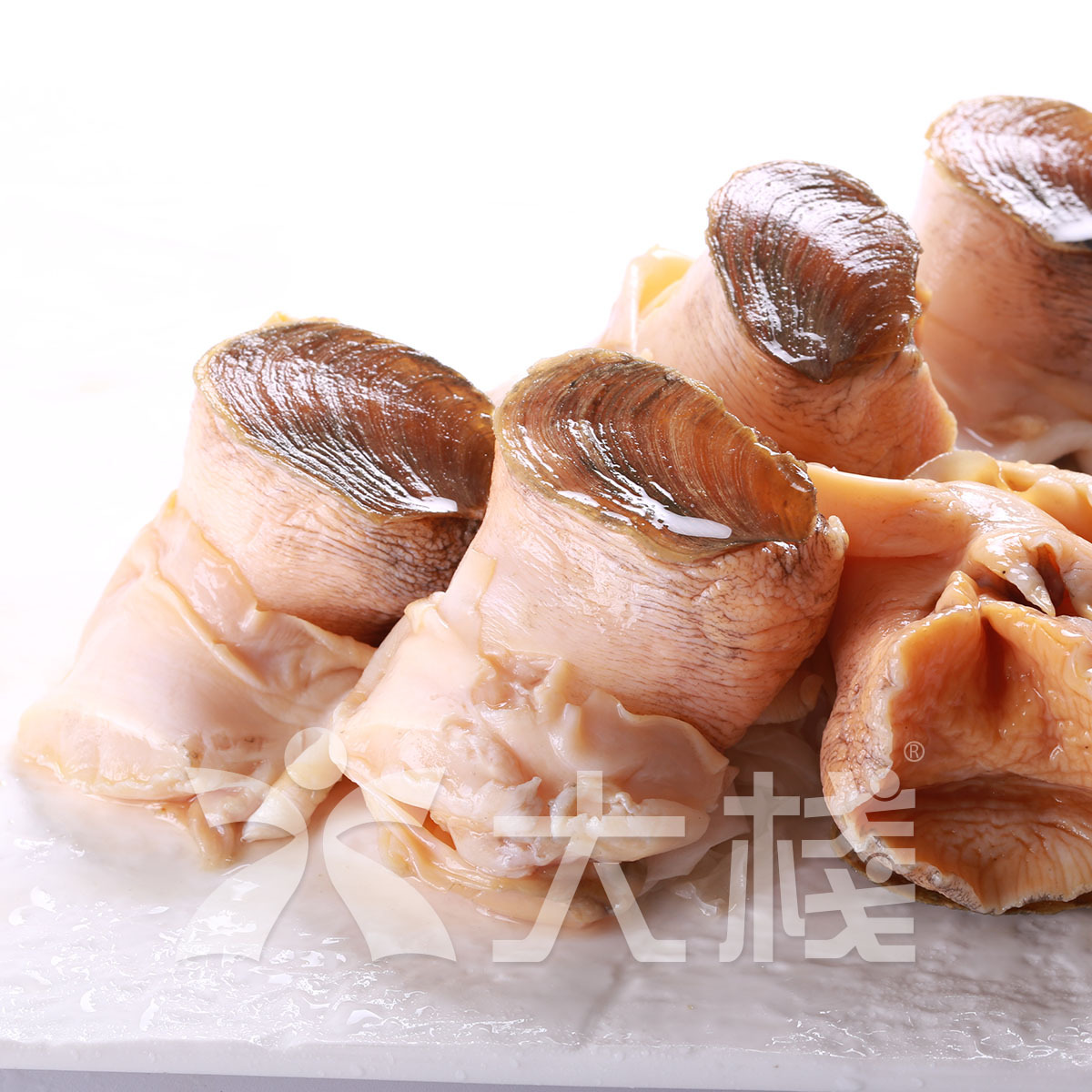 美國大急凍螺頭 (2磅裝)