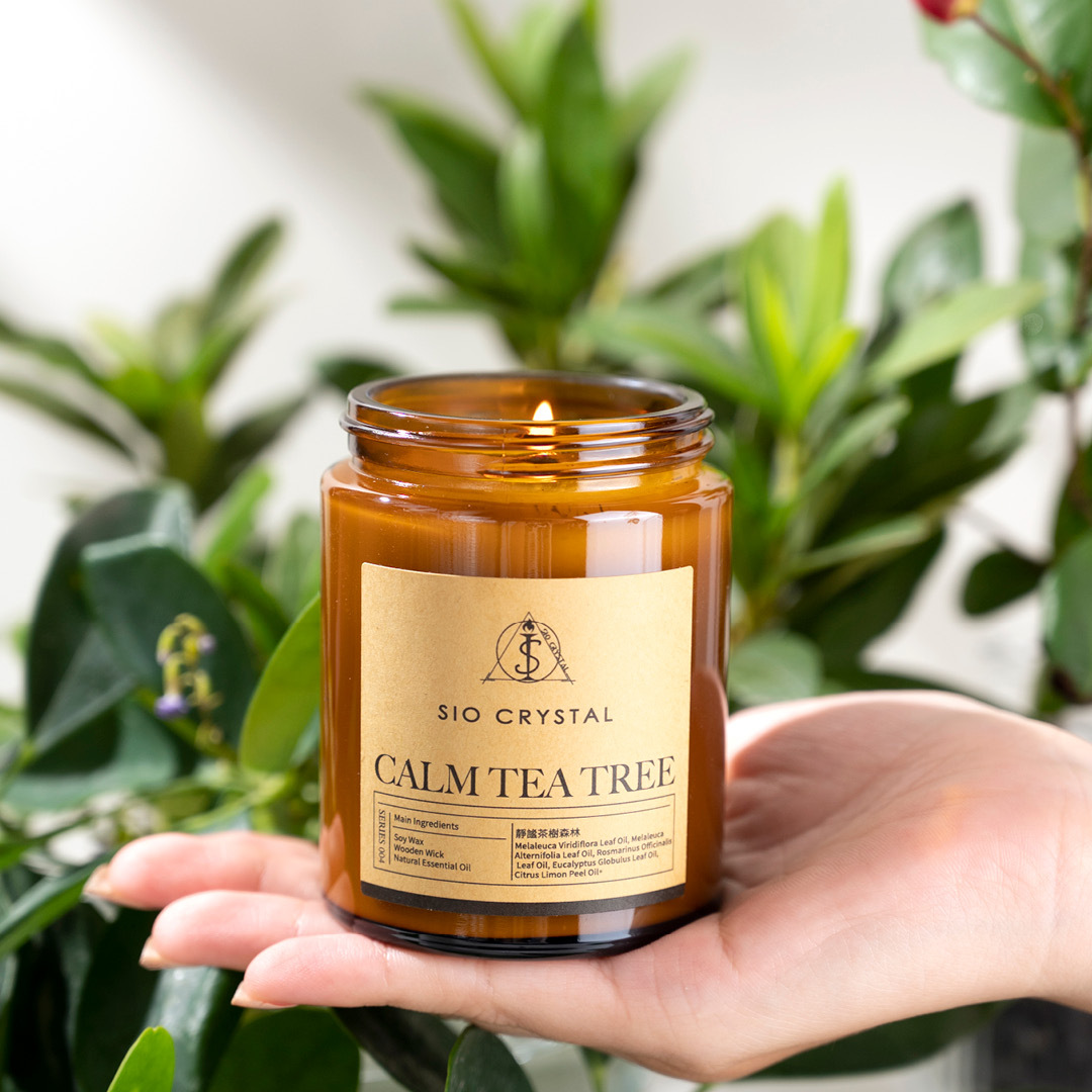 Calm Tea Tree【靜謐茶樹森林】天然植物精油香氛蠟燭