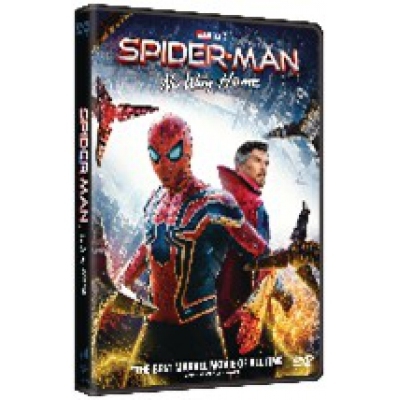 蜘蛛俠 : 不戰無歸 (DVD)