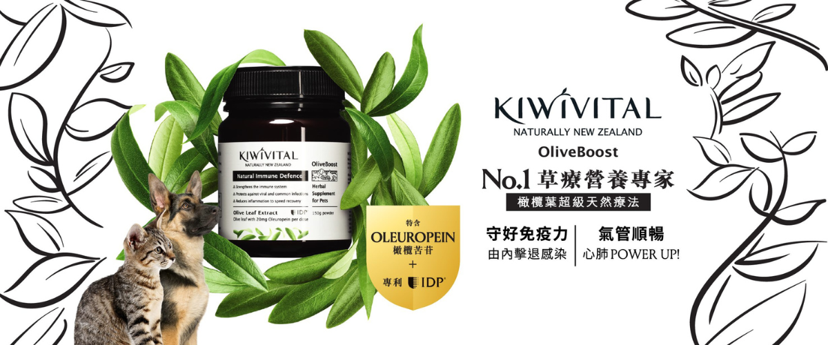 Kiwivital寵物專用橄欖葉草療配方(貓狗適用)
