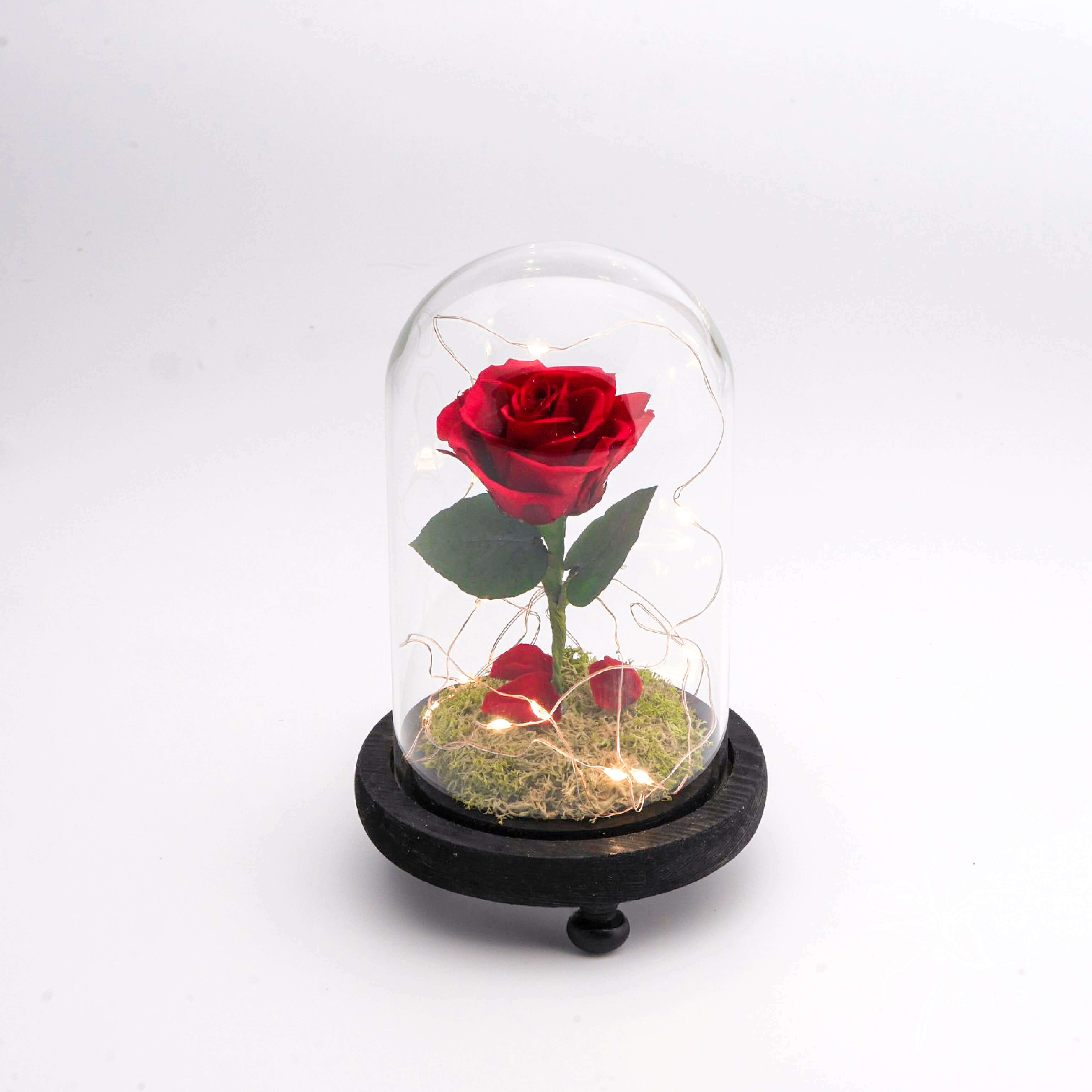 【唯一】長型玻璃花盅-小