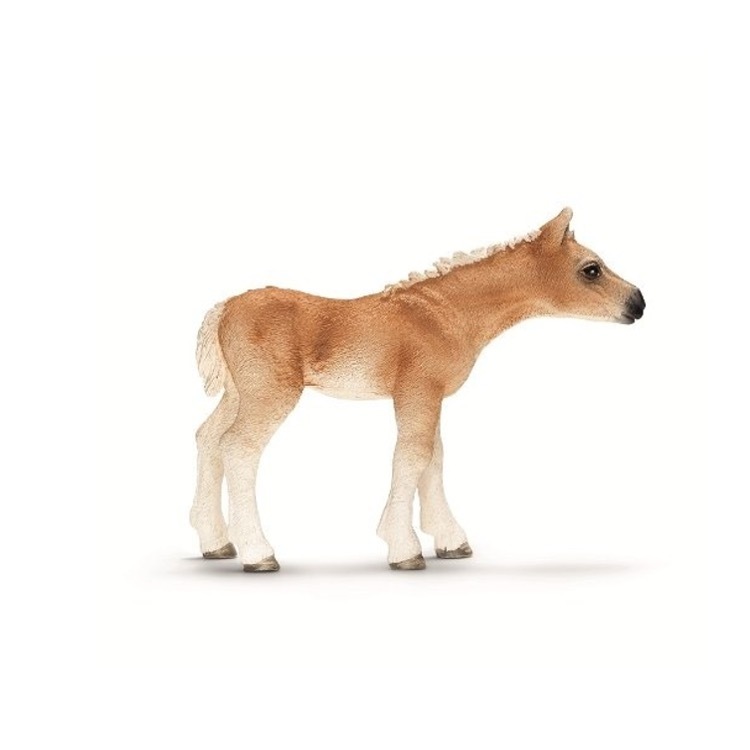Haflinger Foal, Schleich, SC13699